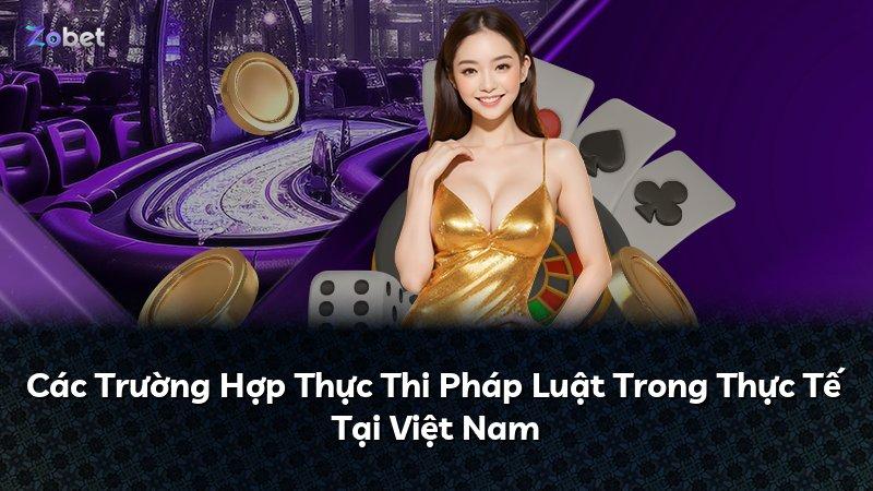 Các Trường Hợp Thực Thi Pháp Luật Trong Thực Tế Tại Việt Nam