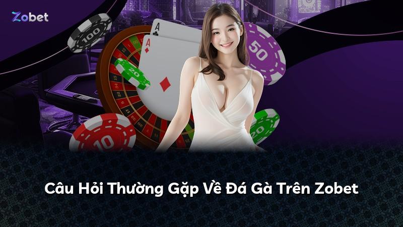 Câu Hỏi Thường Gặp Về Đá Gà Trên Zobet