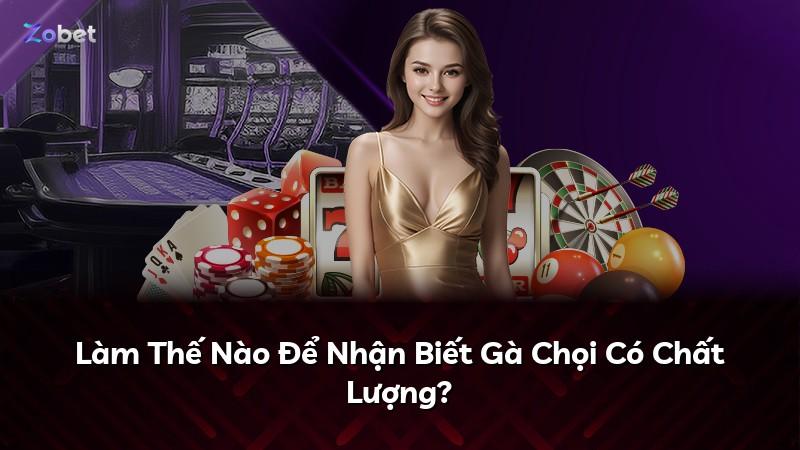 Làm Thế Nào Để Nhận Biết Gà Chọi Có Chất Lượng?